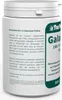 The Nutri Store Galactose 100% reines Pulver, 500 g Pulver Produktbild-Vorschau 2