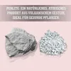 LERAVA® Perlite für Pflanzen  - 3L - Optimale Blumenerde Produktbild-Vorschau 1