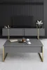 Skye Decor, Luxe - Antracite, Oro, Soggiorno, Set di mobili Anteprima dell’immagine prodotto 5
