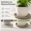 Pflanztopfuntersetzer Mira Taupe Ø 34cm - Frostsicher & Produktbild-Vorschau 5