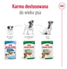 Royal Canin Mini Ageing 12+, Dospělý jedinec, 85 g Náhled obrázku produktu 7