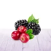 Air Wick Wohlfühl Duftkerze Brombeerblüte & Cranberry105g Produktbild-Vorschau 11