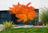 Rhus typhina 'Tiger Eyes', Goldblättriger Samtbaum, Höhe 50 Produktbild-Vorschau 1