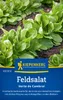 Kiepenkerl Feldsalatsamen Verte de Cambrai Valerianella Produktbild-Vorschau 1