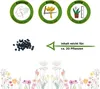 Bärlauch Waldknoblauch Samen - Allium ursinum - Produktbild-Vorschau 2