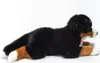 Berner Sennenhund, ca. 60 cm, 1 Stück Produktbild-Vorschau 3