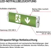 LED-Notleuchte 3W 3H IP65  Anteprima dell’immagine prodotto