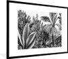 MuchoWow® Gerahmtes Poster Pflanzen - Natur - Gestaltung - Produktbild-Vorschau 1