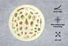 MuchoWow® Mauspad Mousepad Muscheln - Meerestiere - Vintage Produktbild-Vorschau 3