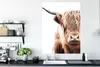 MuchoWow® Poster Schottischer Highlander - Kuh - Weiß Produktbild-Vorschau 3