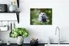 MuchoWow® Poster Hamster auf einer kleinen Schaukel 40x30 Produktbild-Vorschau 3