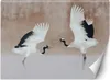 Vlies fototapete Reiher Vögel Beige 150x105 cm Feeby Beige Produktbild-Vorschau 1