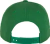 Kšiltovka Curved Classic Snapback Náhled obrázku produktu 12