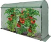 A greenhouse with tomato plants inside. Anteprima dell’immagine prodotto