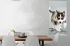 MuchoWow® Poster Husky-Welpe läuft über die Straße 60x120 Produktbild-Vorschau 2