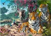 Castorland Tiger Sanctuary 300 pcs puzzle, Tiere, 6 Jahr(e) Produktbild-Vorschau 1