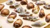 MaitreTruffout Belgische Muschelpralinen 50 g Produktbild-Vorschau 1