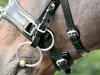 Busse Kappzaum FIT PRO schwarz, Produktbild-Vorschau 7