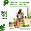 Moringa Energy Tabs 950mg I Vitamine, Proteine & Produktbild-Vorschau 2
