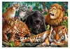 Puzzle CLE 500 HQ Gatti selvatici 35126 Anteprima dell’immagine prodotto 6