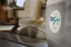 PAULIMOT Silbergleit Trockengleitmittel pastös, Dose mit Produktbild-Vorschau 7