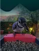 Bird Buddy Smart - Bird Feeder Pro - Vogelhaus - Blau mit Produktbild-Vorschau 7