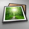 Gerahmtes Poster - Schwarzer Rahmen - Sonnenstrahlen Wald Produktbild-Vorschau 3