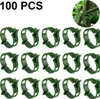 100 STK Kunststoff Pflanzen Clips Pflanzenklammern Rebe Produktbild-Vorschau 1