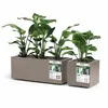 Pflanzkübel GREENER KEBE 40 cm taupe Produktbild-Vorschau 2