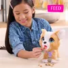 Furreal Poopalots Piesek Interaktywny na smyczy Hasbro Podgląd zdjęcia produktu 11