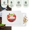 Graines de tomates(Berner Rose, 10 graines) - Graines de Voir les images du produit 4