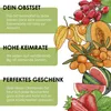 Obst Samen Set mit 6 exotischen Sorten - Obst Samen Produktbild-Vorschau 3