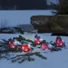 LED-roodborstjes, set van 5, met 40 koud-witte LED's, 24V Productafbeelding-voorbeeld 9