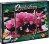 Noris Spiele Malen nach Zahlen - Orchideen (Triptychon); Produktbild-Vorschau 9