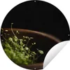 MuchoWow® Produktbild-Vorschau 1