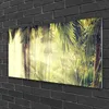 Acrylglasbilder 100x50 Wandbild Druck Wald Natur Produktbild-Vorschau 2