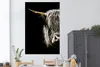MuchoWow® Poster Schottischer Highlander - Porträt - Hoorn Produktbild-Vorschau 2