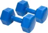 Two blue dumbbells are shown against a white background. Produktbild-Vorschau