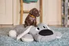 Beeztees Welpen Hundespielzeug Boomba XL 70 x 40 cm grau Produktbild-Vorschau 4