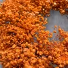 Schleierkraut Kranz 30 cm – Orange Trockenblumenkranz | Produktbild-Vorschau 3