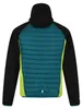 Regatta Hybrid Softshelljacke Herren Andreson VI Produktbild-Vorschau