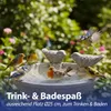 Vogeltränke mit zwei Vögeln Zement 25x14x21,7cm Produktbild-Vorschau 4