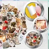 Vtipné samolepky s kočkami, sada 100 kusů, barevná DIY Náhled obrázku produktu 9