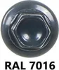 A close-up view of a screw head with the RAL 7016 color code displayed below. Anteprima dell’immagine prodotto