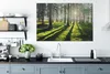 MuchoWow® - Leinwandbilder - Bäume - Natur - Wald, Produktbild-Vorschau 4