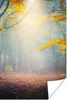 MuchoWow® Poster Wald - Nebel - Herbst 120x180 cm - Produktbild-Vorschau 1