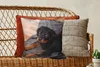 MuchoWow® Zierkissen Sofakissen Wohnzimmer Dekokissen 45x45 Produktbild-Vorschau 5