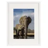 BD ART 30x40 cm Dokument, Zertifikat, MDF Bilderrahmen mit Produktbild-Vorschau 2