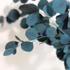 Eucalyptus Fleurs Séchées Durabilité Eternelle Bouquet de Voir les images du produit 2