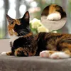 lionto Fensterbrettliege, weiche Katzenliege mit Produktbild-Vorschau 3